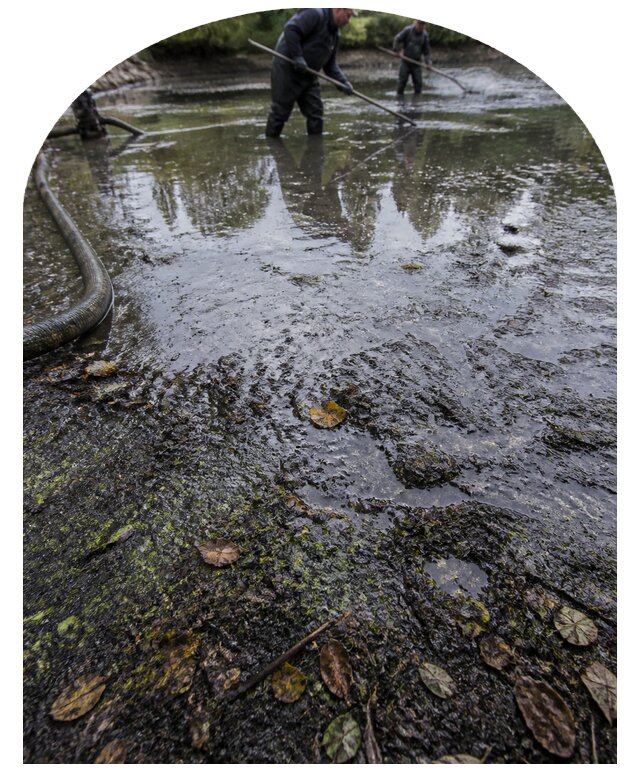 Очистка пруда в Арсеньеве от ила мусора и водорослей с вывозом